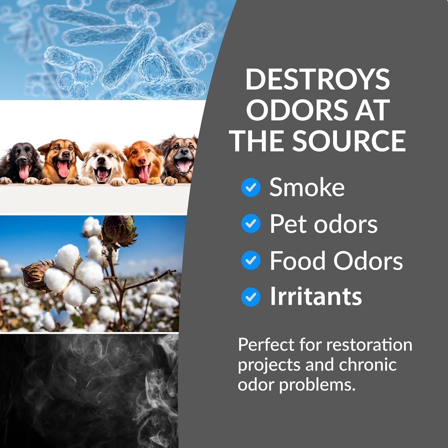 New Comfort PLCOZ12K Stainless Steel 9,000 to 14,000 mg/hr Commercial Ozone Generator and Air Purifier